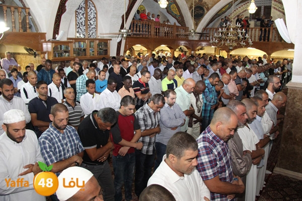 3eed ad7a akber 0510 (25).JPG